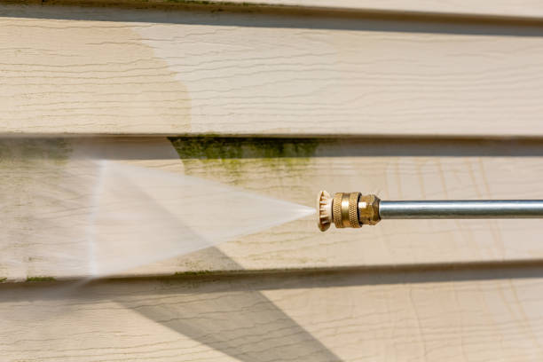 Why Choose Our Certified Pressure Washing Experts for Your Project Needs in Rayne, LA?